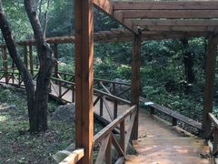 -大岭沟猕猴桃谷风景区