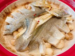 -1937青岛老味道·海肠捞饭·青岛菜(大鲍岛栈桥店)