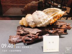 -大连自然博物馆