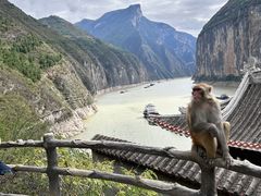 -白帝城·瞿塘峡景区