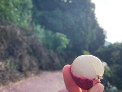-艾米稻香小镇