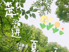 -顾村公园