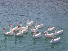 -楠溪江风景名胜区