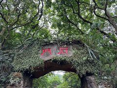 -海口火山口国家地质公园
