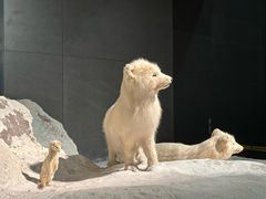-浙江自然博物院(杭州馆)