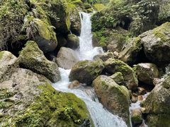 -青城山