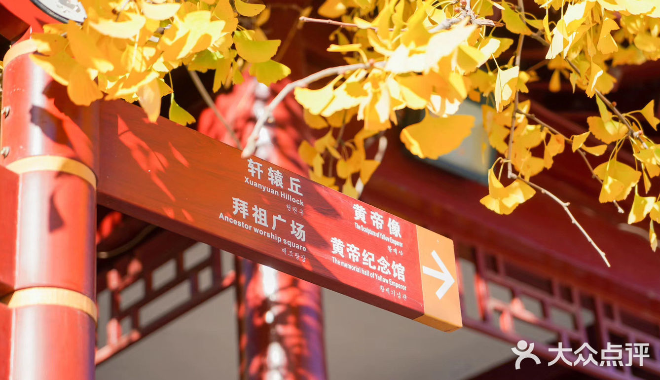 郑州周边游｜假装在京都｜一起看绝美银杏