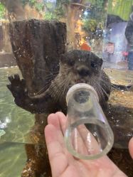 -Zoolung Zoolung动物主题公园(海信广场店)