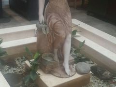 -米莱蒂亞牛排餐厅(福园广场店)