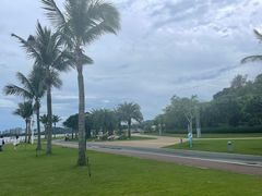 -野狸岛