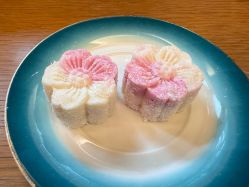 -金芙美月子中心(财富别墅店)