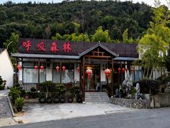 -呼吸森林·生态农庄农家乐私房菜