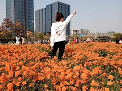 -映月湖中央公园