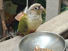 -正佳雨林生态植物园