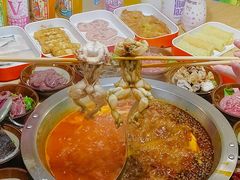 -铭记蛙小仙·活蛙畅享(CBD万达广场店)