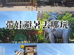 -呀路古热带植物园