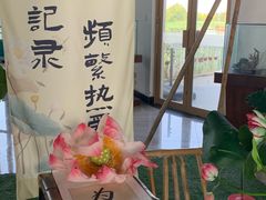 -荷花荡