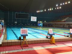 -重庆市奥林匹克体育中心-游泳跳水馆