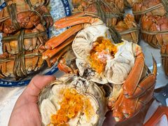 -朱胖子蟹行大闸蟹(定安里店)