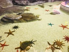 -福州罗源湾海洋世界旅游区