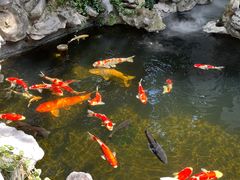 -鲤院·新中式美学·庭院餐厅(夫子庙店)