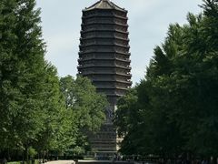 -玲珑塔公园