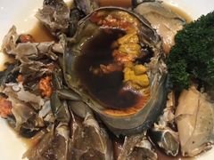 -席家花园(巨鹿花园店)