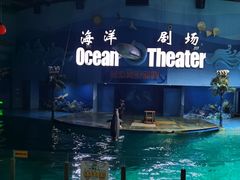 -苏州海洋馆