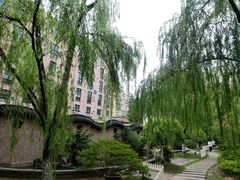 -复旦大学附属中山医院(西院区)