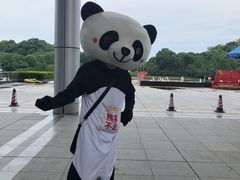-熊猫不走蛋糕（同城送）(长沙店)