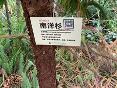 -呀路古热带植物园