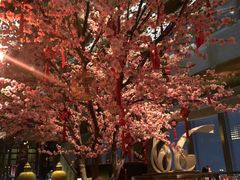 -金轩中餐厅 Jin Xuan(浦东丽思卡尔顿酒店)