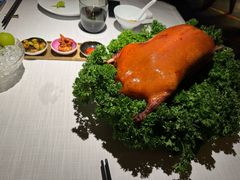 -莉莉海堂HAITANG·烤鸭(国贸商城店)