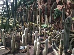 -亿利库布其七星湖沙漠生态旅游区