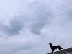 -ChanDu躔度咖啡(灯塔店)