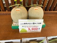 -富田农场