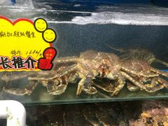-蚝专家(北滘店)