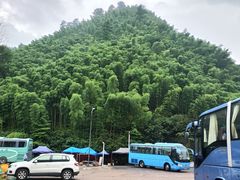 -江南天池