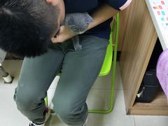 -瑞鹏宠物医院·夜间急症·心超·猫科(祖庙分店)
