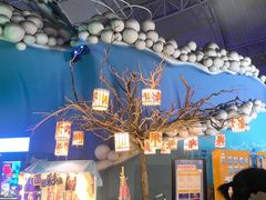 -烟台海昌鲸鲨海洋公园
