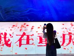 -重庆欢乐海底世界