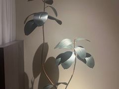 -木兰逸•泰式按摩•头疗•SPA(车公庙店)