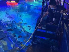 -沈阳海洋探索中心