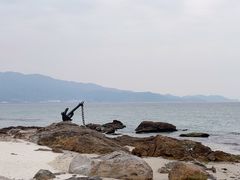 -杨梅坑