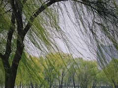 -滨湖塘西河公园