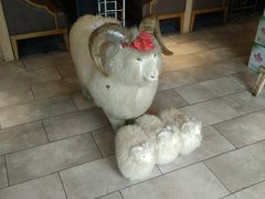 -羊肉街口老银川滩羊涮肉馆