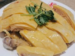 -泰煌鸡·上海白斩鸡·鸡汤面(鹤庆店)