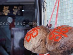 -洪馨椰子