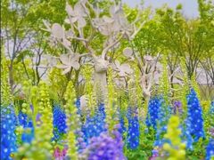 -上海浦江郊野公园·1号停车场