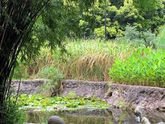 -成都市活水公园